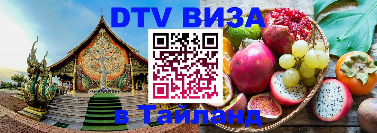 Сколько стоит DTV виза — актуальные цены, оформление даже без документов - Энгельс 